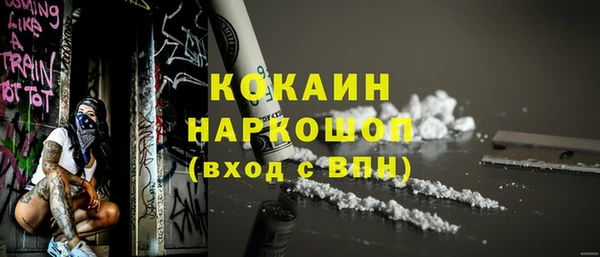 индика Богданович