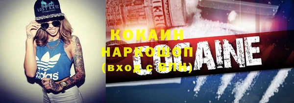 стаф Богородицк