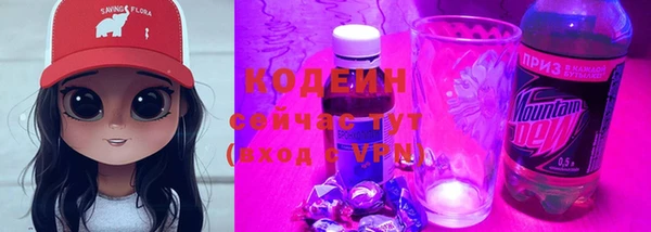 индика Богданович