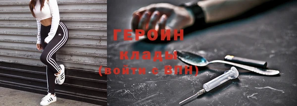 индика Богданович