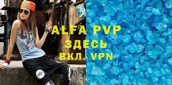 индика Богданович