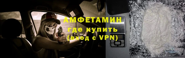 индика Богданович