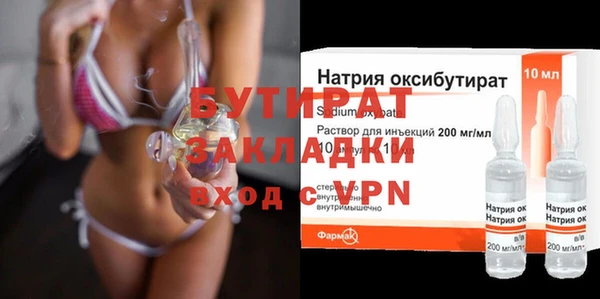индика Богданович