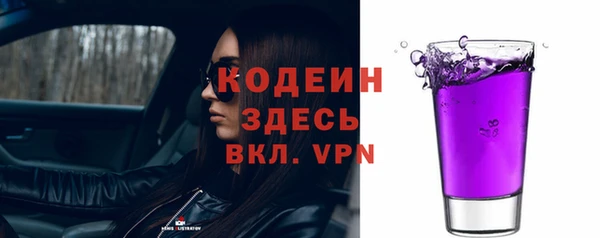 индика Богданович
