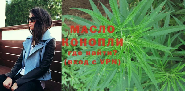 индика Богданович