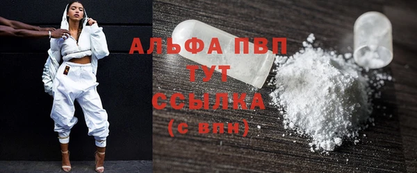 стаф Богородицк
