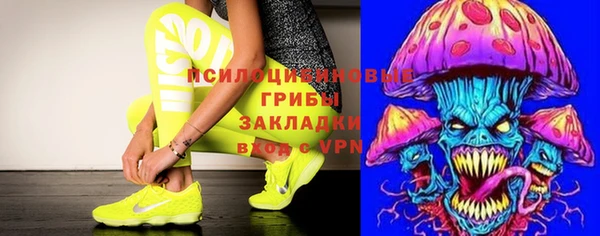 Альфа ПВП Богородск