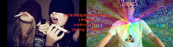 стаф Богородицк