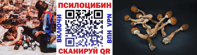Псилоцибиновые грибы мицелий  Кодинск 